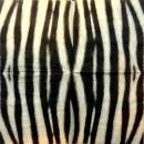 023 Afrikas - 3-lagig - ppd - Shutterstock